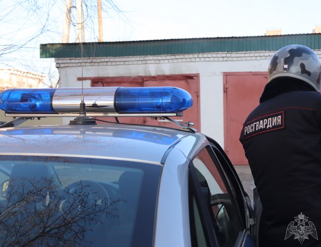 В Забайкалье Росгвардейцы задержали женщину, подозреваемую в краже.