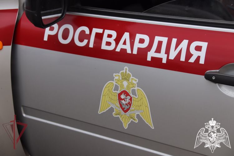 Более 300 раз за неделю выезжали сотрудники вневедомственной охраны по  сигналу «тревога»
