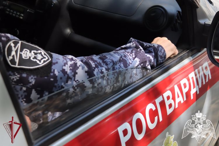 Сотрудники Росгвардии помогли задержать угонщика автомобиля 
