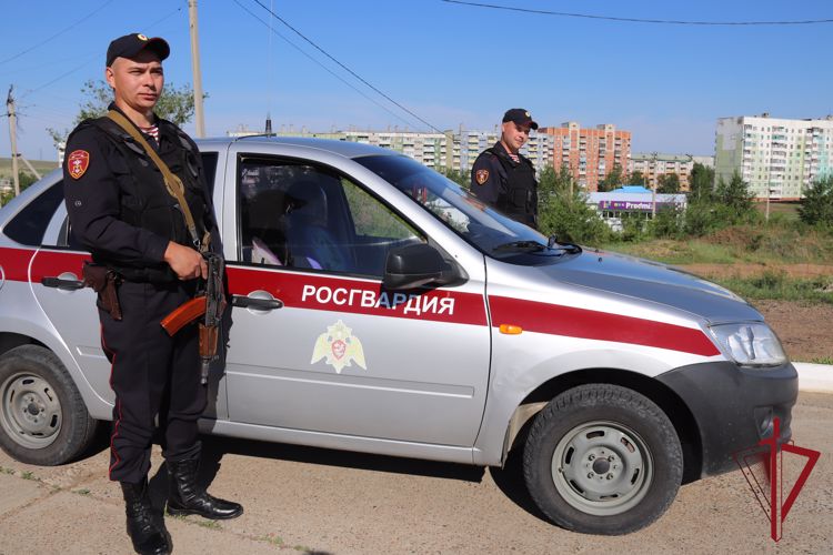 Сотрудники Росгвардии в Забайкалье приняли участие в раскрытии трёх преступлений за неделю