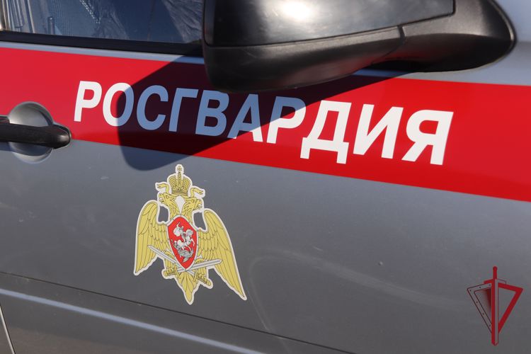 В Чите сотрудники Росгвардии задержали подозреваемого в краже