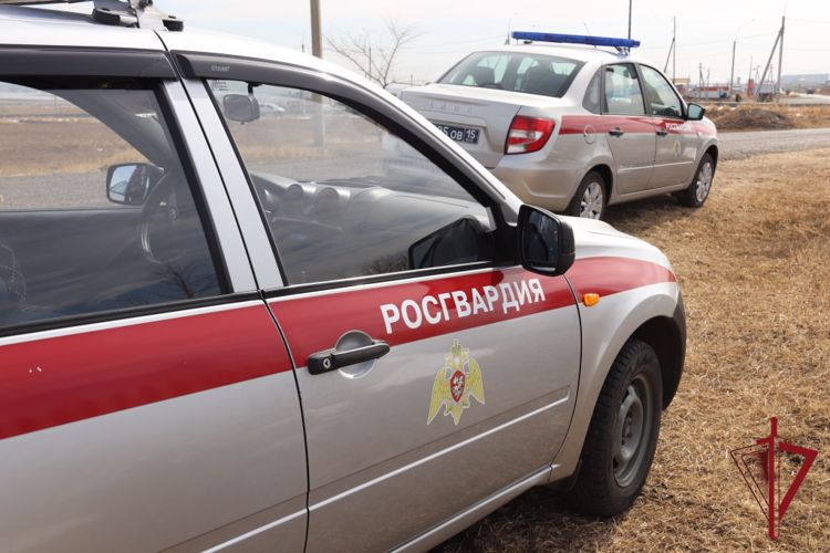 В Краснокаменске сотрудники Росгвардии задержали мужчин, устроивших драку в кафе
