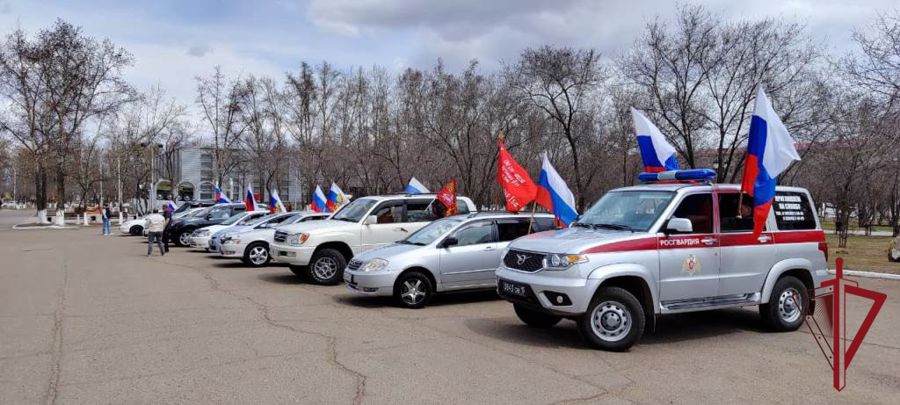 Более десятка патриотических мероприятий, посвященных Дню Победы, провели сотрудники вневедомственной охраны в Забайкальском крае