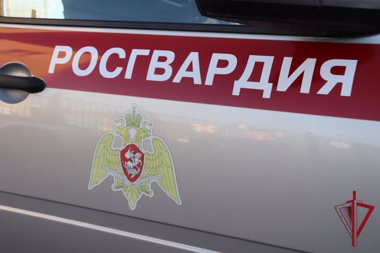 В Чите сотрудники Росгвардии задержали нетрезвого водителя