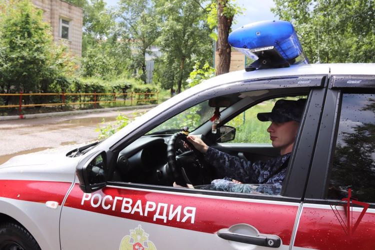Сотрудники Росгвардии задержали участников драки в ночном клубе Читы