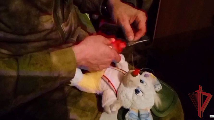 В РОСГВАРДИИ ПРОХОДЯТ ПРАЗДНИЧНЫЕ МЕРОПРИЯТИЯ, ПОСВЯЩЕННЫЕ МЕЖДУНАРОДНОМУ ДНЮ ЗАЩИТЫ ДЕТЕЙ (ВИДЕО)