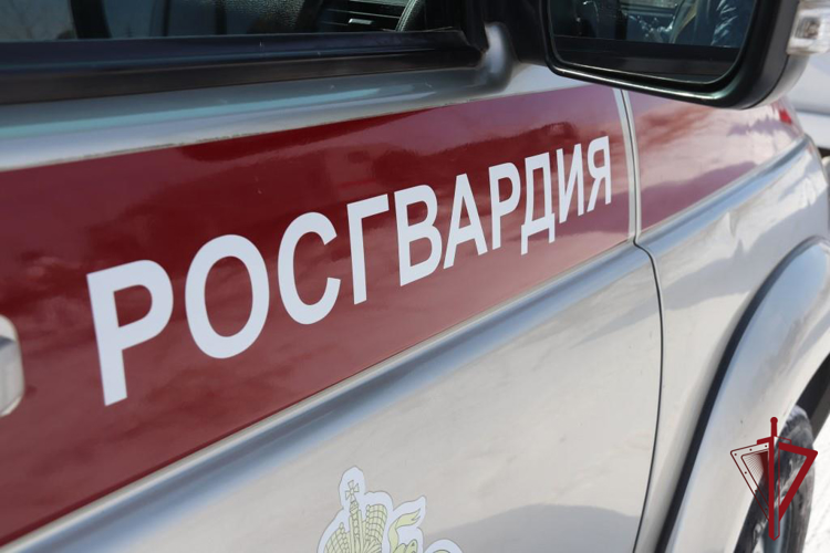 Сотрудники Росгвардии напоминают о том, что дети не должны знать о хранящемся дома оружии