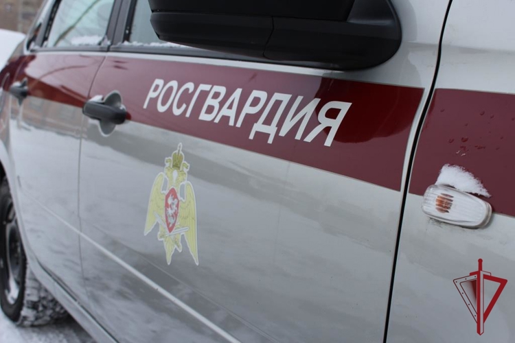Сотрудники Росгвардии на забайкальских дорогах задержали нетрезвых водителей