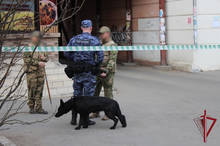 Росгвардия в Забайкалье обеспечивает охрану общественного порядка во время празднования Дня Победы