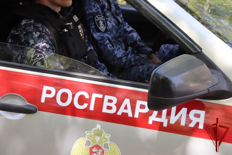Сотрудники Росгвардии в Забайкалье за неделю за различные правонарушения задержали более 80 человек