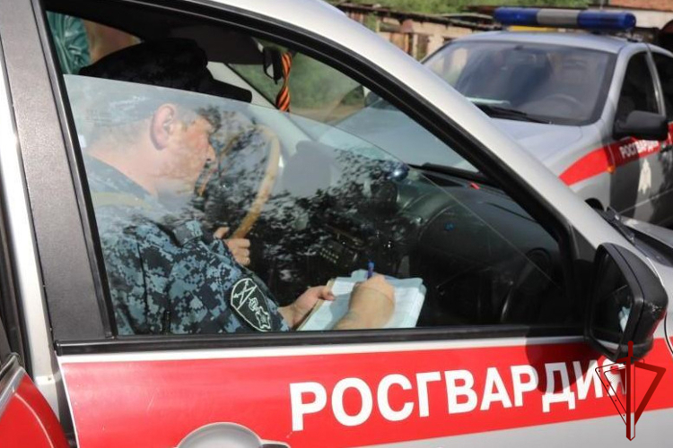 В Сретенске сотрудники Росгвардии задержали пассажира теплохода, который перевозил запрещённые вещества