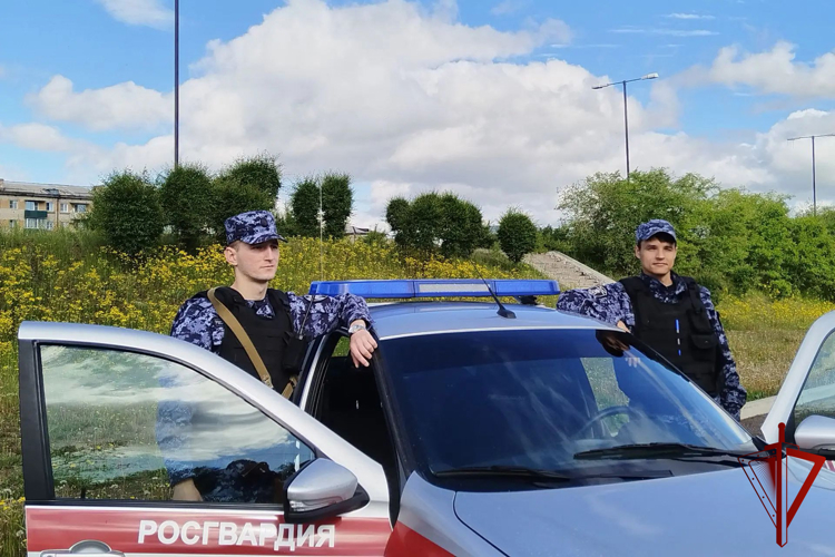 Сотрудники Росгвардии в Забайкалье за неделю за различные правонарушения задержали более 80 человек